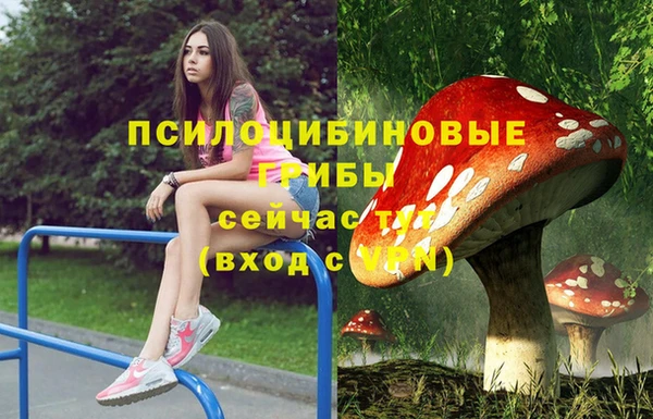 а пвп мука Арсеньев
