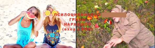 а пвп мука Арсеньев