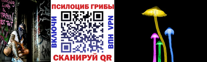 Галлюциногенные грибы Psilocybine cubensis  Дубна 