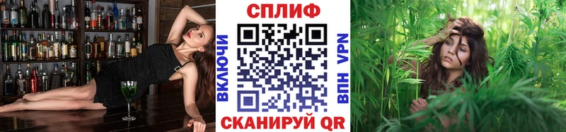 Шишки марихуана Ganja  Дубна 